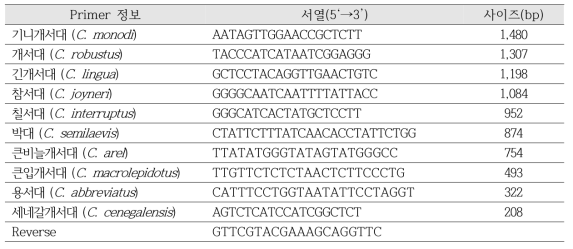 서대류 10종 특이 primer 정보