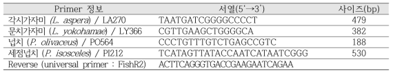 가자미류 및 넙치류 종판별용 PCR primer 서열 및 정보