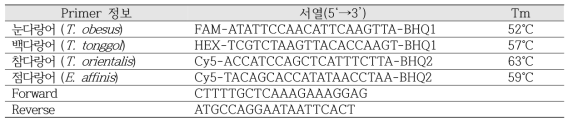 다랑어류 종판별용 PCR primer 및 probe 서열 및 정보