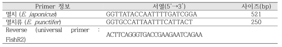 멸치류 종판별용 PCR primer 서열 및 정보