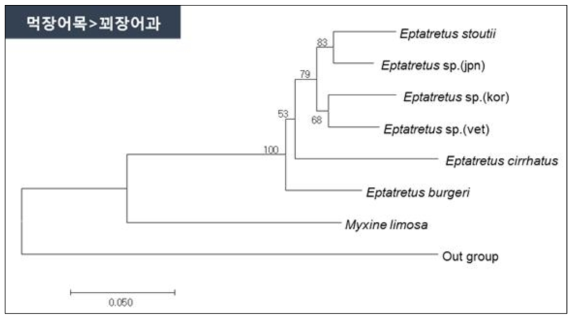먹장어류 7종의 mt-DNA CO1영역 분자마커 분석에 의한 분자계통학적 유연관계