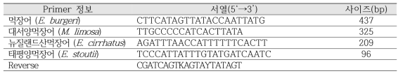 먹장어류 종판별용 PCR primer 서열 및 정보