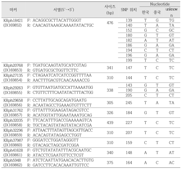 바지락(Ruditapes philippinarum) 집단분석을 위한 21개의 SNP 정보