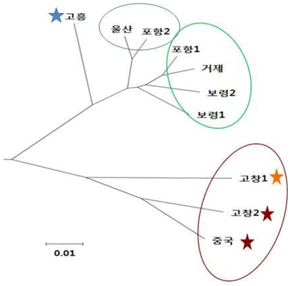 바지락 집단의 유전적 유연관계 계통수 (reference data)