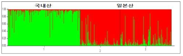 국내산과 일본산 참꼬막의 집단유전학적 구조 (reference data)