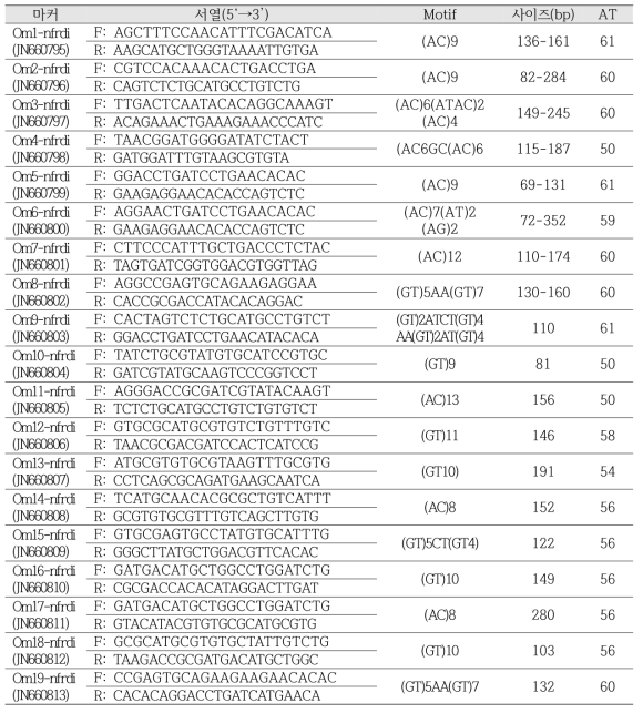 낙지(Octopus minor)로부터 개발된 microsatellite marker 정보 (reference마커)