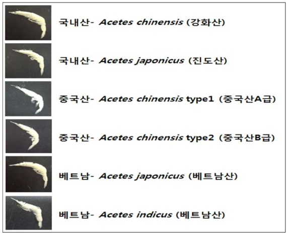 본 연구에 사용된 젓새우 종류 및 원산지