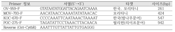 문어류 종 및 원산지 특이 PCR 증폭을 위한 primer 서열 및 정보