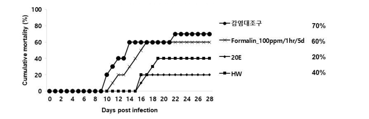 대량생산추출물 2종을 3주간 현장에서 경구투여한 넙치에 3.24x105cells/100ul/fish의 농도로 스쿠티카충을 인위감염 시킨 뒤 폐사율