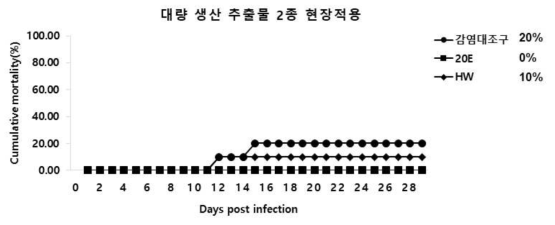 대량 생산 추출물을 3주간 현장에서 경구투여한 넙치의 VHSV에 대한 누적 폐사 그래프 (1x107.8TCID50/200ul/fish)