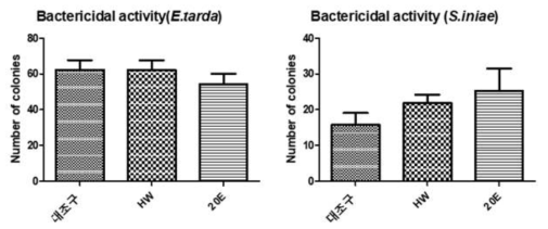 대량 생산 2종 추출물을 투여 한 넙치에서의 E. tarda, S. iniae 균주에 대한 살균능(bactericidal activity)