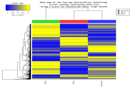 옻나무 추출물을 2주간 먹인 넙치 신장의 유전자발현을 two-way Hierarchical clustering분석한 heat map. 대조구(control), 투여구 2마리 섞은 것 (20-1)과 투여구 1마리 단독 (20-5)