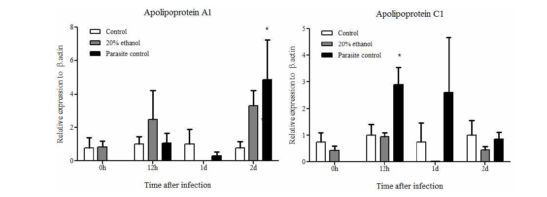 대조구(Control), 20% 에탄올 추출물 투여 후 스쿠티카 감염구(20% ethanol), 스쿠티카 감염구 (Parasite control)에서 신장의 apolipoprotein A-1 과 apolipoprotein C-1의 발현. β-actin을 internal control로 사용한 상대발현비교. n=5, *p<0.05