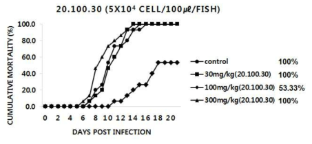 20.100.30 추출물을 30, 100 및 300mg/kg b.w./day로 1주간 투여한 넙치에 M. avidus YS2를 인위 감염시킨 후의 누적폐사율 그래프