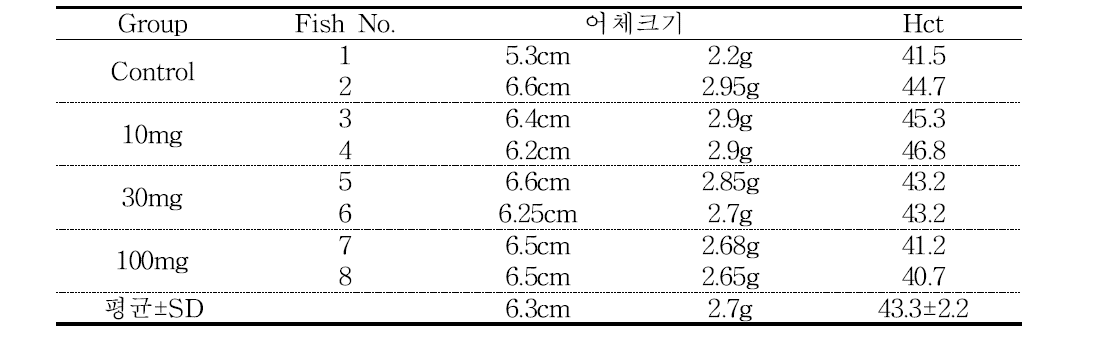 동거감염 직전 정상 조피볼락의 헤마토크리트