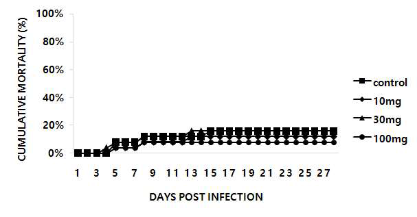 2차 효능평가에 의한 폐사율. 옻나무 20.100.30 추출물 경구투여한 조피볼락의 항 마이크로코타일 충에 대한 누적 폐사 그래프