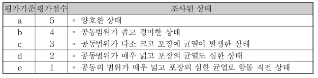 에이프론 공동(콘크리트 포장 하부)의 상태평가 기준