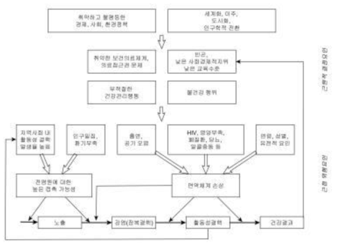 결핵의 자연사에 따른 결정요인에 대한 개념적 틀 (출처: 뢴로스 등, 2009)