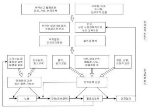 결핵의 자연사에 따른 결정요인에 대한 개념적 틀 (출처: 뢴로스 등, 2009)