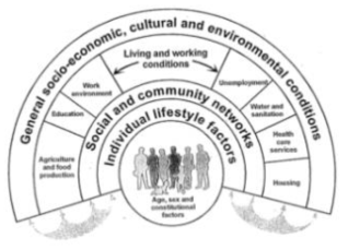 The main determinants of health (Dahlgren &Whitehead, 1991)