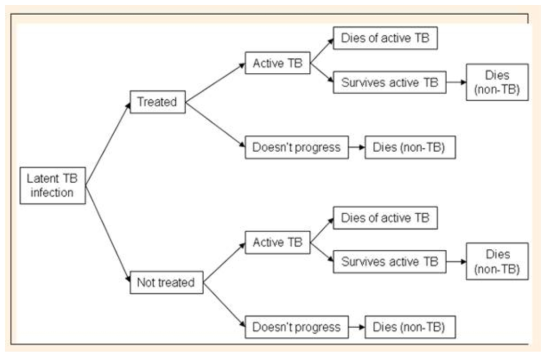 잠복 결핵 경과 치료–본래의 비용 효과성 모델 구조