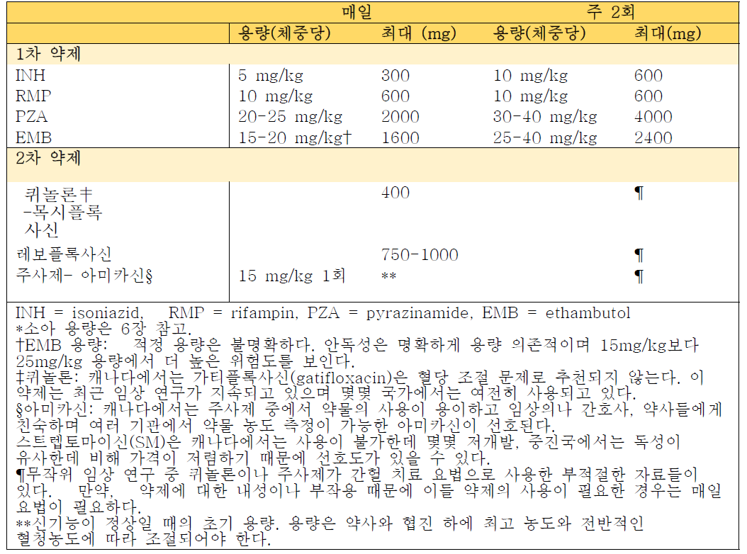 청소년 및 성인의 매일 요법과 간헐 치료 요법*