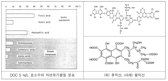 자연유기물질 분포현황(왼쪽) 및 구조(오른쪽)