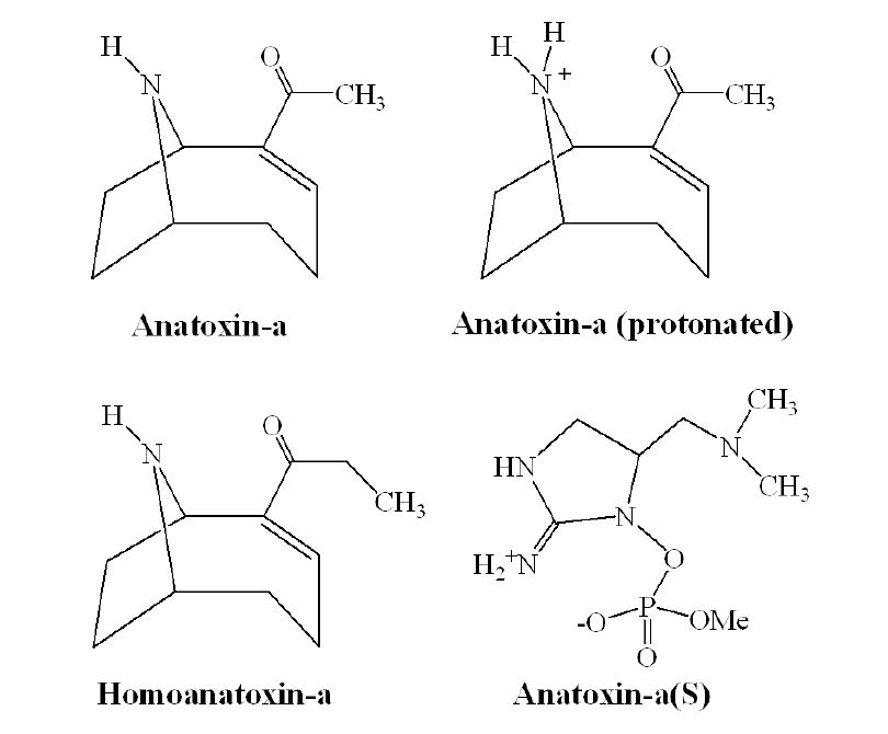 아나톡신의 구조(국립환경과학원, 2014)