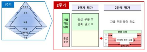 2주기 대학 구조개혁 평가 평가방식 (출처: 교육부, 2017)