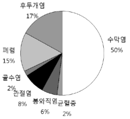 침습 b형 헤모필루스 인플루엔자 질환 임상상의 분포(백신도입 전)