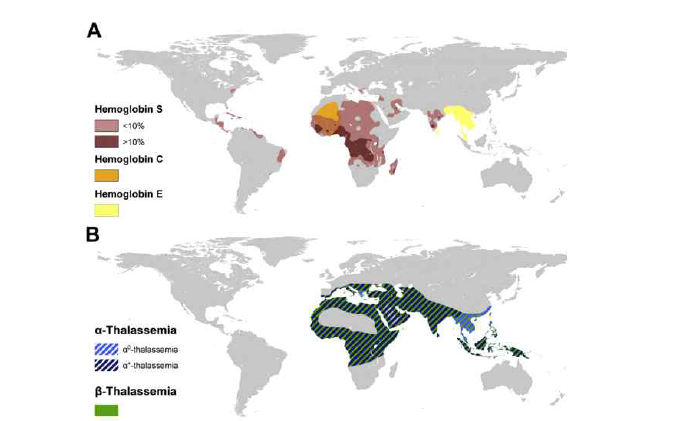 Maps of the distribution of the inherited disorders of hemoglobin. (A) Structural hemoglobin variants, (B) Thalassemia