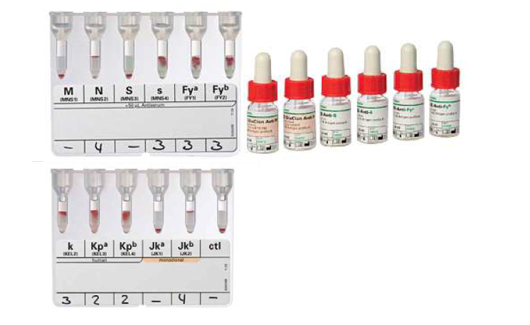 적혈구 항원 표현형 검사 시약(The reagents for RBC antigen phenotyping)