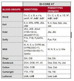 IDcoreXT 검사로 확인하는 유전형 및 예측 표현형 적혈구 항원