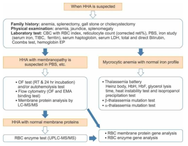 Updated standard operating procedure for the diagnosis of hereditary hemolytic anemia