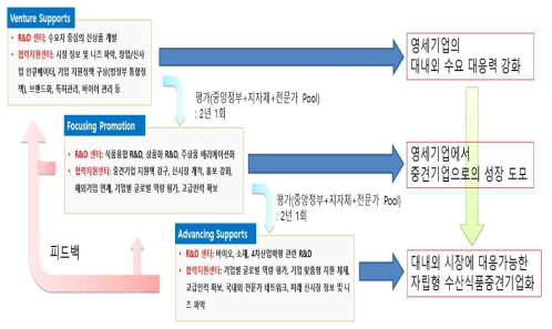 단계적 성장지원의 차별화 흐름도