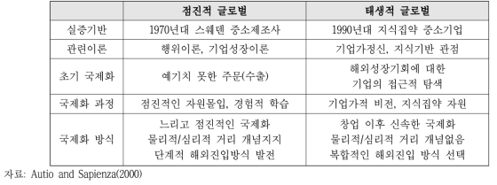 선행연구를 바탕으로 점진적 글로벌화와 태생적 글로벌화 비교