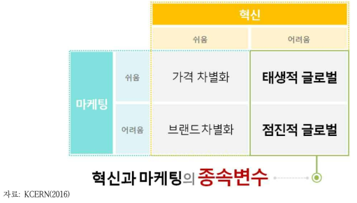 혁신과 마케팅의 종속변수 글로벌 전략