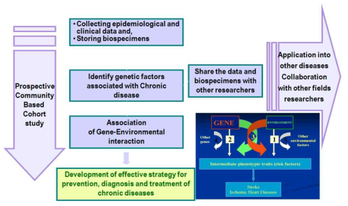 심뇌혈관질환과 호흡기질환 등의 만성질환의 유전 요인 구명과 다른 질환 연구에의 활용 전략