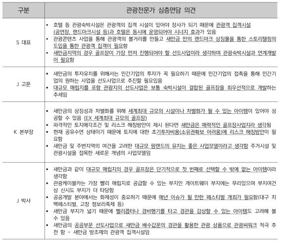 관광전문가 심층면담 의견