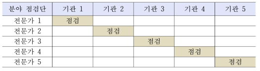 점검단 운영형태 1안