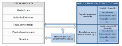 미국의 PHM(Population Health Management)를 위한 지역사회 건강지표 프레임워크