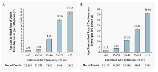 Age-standardized rates of death from any cause (A) and cardiovascular events (B) (Go 등. NEJM 2004)
