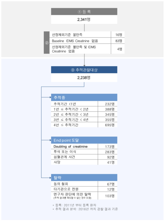 성인 등록 및 추적 환자수