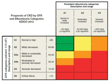 GFR 과 알부민뇨에 따른 만성신장질환의 예후 (초록색은 저위험, 노란색은 중등도 위험, 주황색은 고위험, 빨간색은 최고 위험) (KDIGO, 2013)