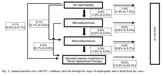 제2형 당뇨병성 신증 환자의 임상적 경과 (Adler 등, Kidney Int 2003)