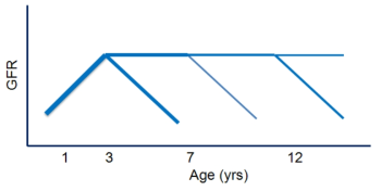 Natural course of renal function in children with renal dysplasia