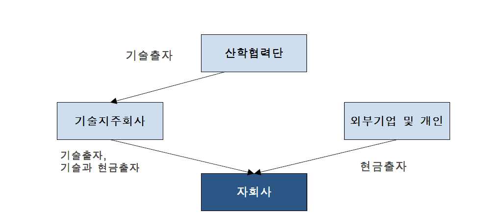 자회사 설립을 위한 신규법인 합작설립 유형 프로세스 (출처: 한국 기술지주회사 협회 홈페이지)
