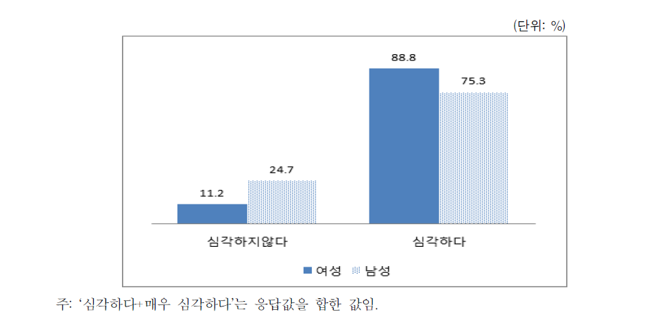 여성 폭력 심각성