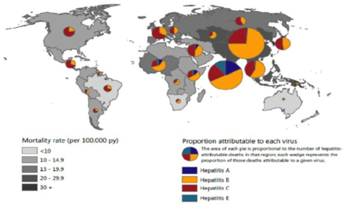 바이러스 간염으로 인한 사망의 세계적 분포(http://vizhub.healthdata.org/)