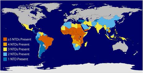 Global overlap of six of the common NTDs. Specifically guinea worm disease, lymphatic filariasis, onchocerciasis, schistosomiasis, soil-transmitted helminths, trachoma. Soiltransmitted helminth infections can be caused by three different worms, all treated the same way(CDC; http://www.cdc.gov/globalhealth/ntd/diseases/index.html)